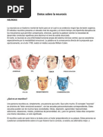 Datos Sobre La Neurosis