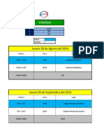 Programacion Voleibol LDES 2014