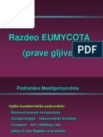 Mastigomycotina