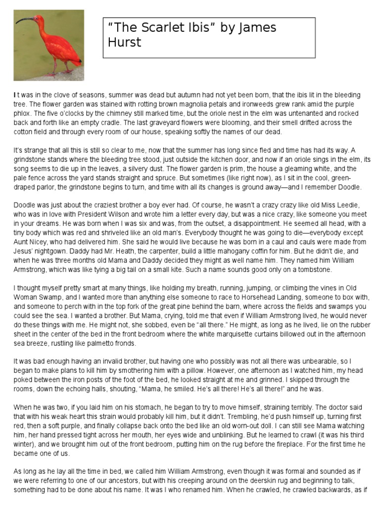 Notes for the scarlet ibis picture