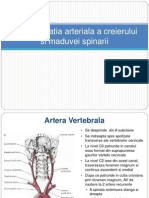 Curs AVC 1ppt