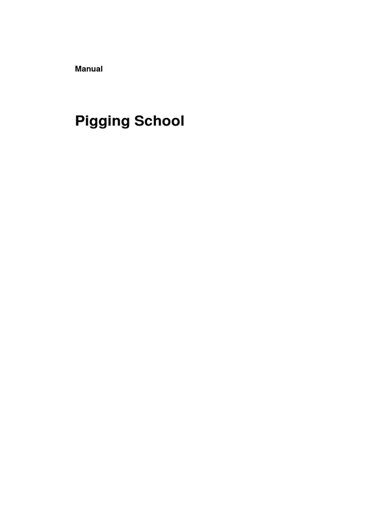 ROSEN Pigging School管道清管及内测技术 | PDF | Pipeline Transport | Valve