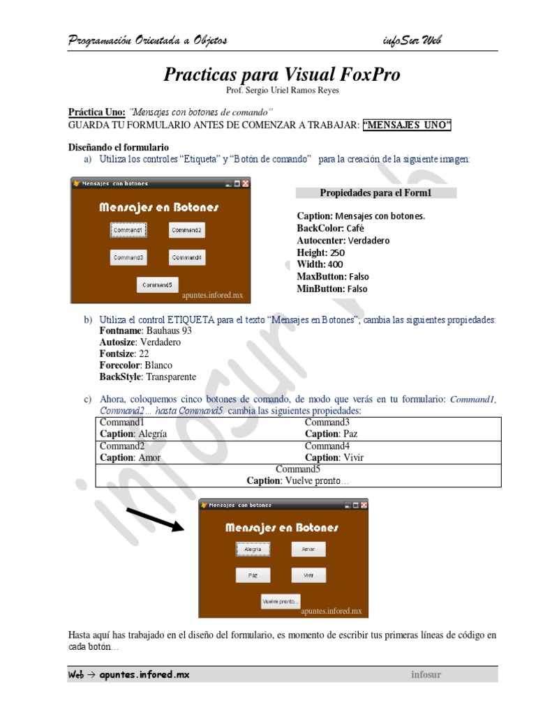 Prácticas de Visual FoxPro en POO | PDF | Programación de computadoras ...
