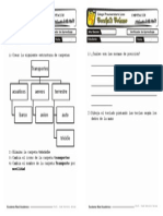 Verificador para Mañana