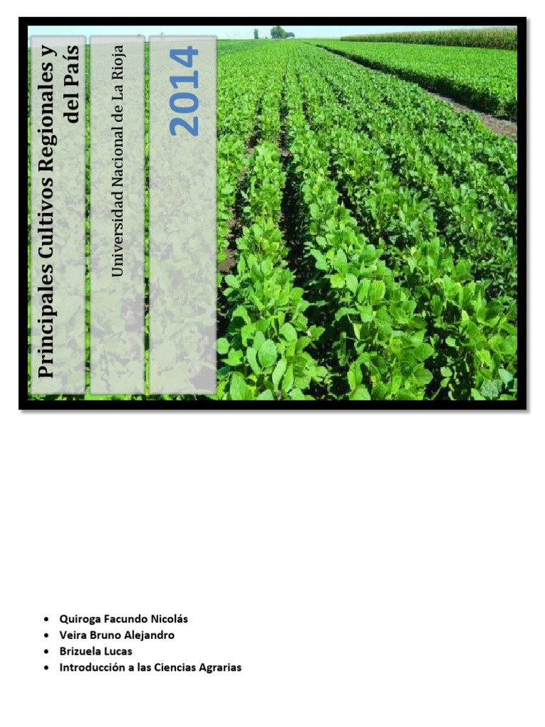 Principales Cultivos de Argentina y La Region | Agricultura | Cereales