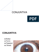 CONJUNTIVAaaa.ppt