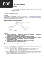 Sujeitos processuais