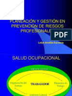 Planeación Y Gestión en Prevención de Riesgos Profesionales: Lelys Archila Escorcia