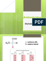 Metabolismo Aa 2013-1