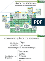 Composição Química Seres Vivos (1)