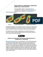 Funciones Que Debe Cumplir El Cromosoma