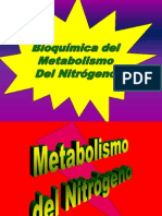 Bioquimica Del Metabolismo Del Nitrogeno