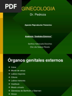 Genitales Externos - Ginecologia