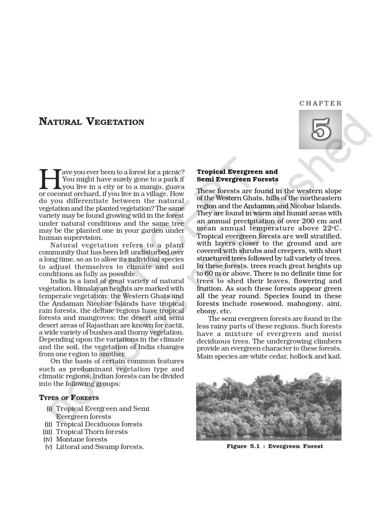 Types of Natural Vegetation in India | PDF | Home & Garden