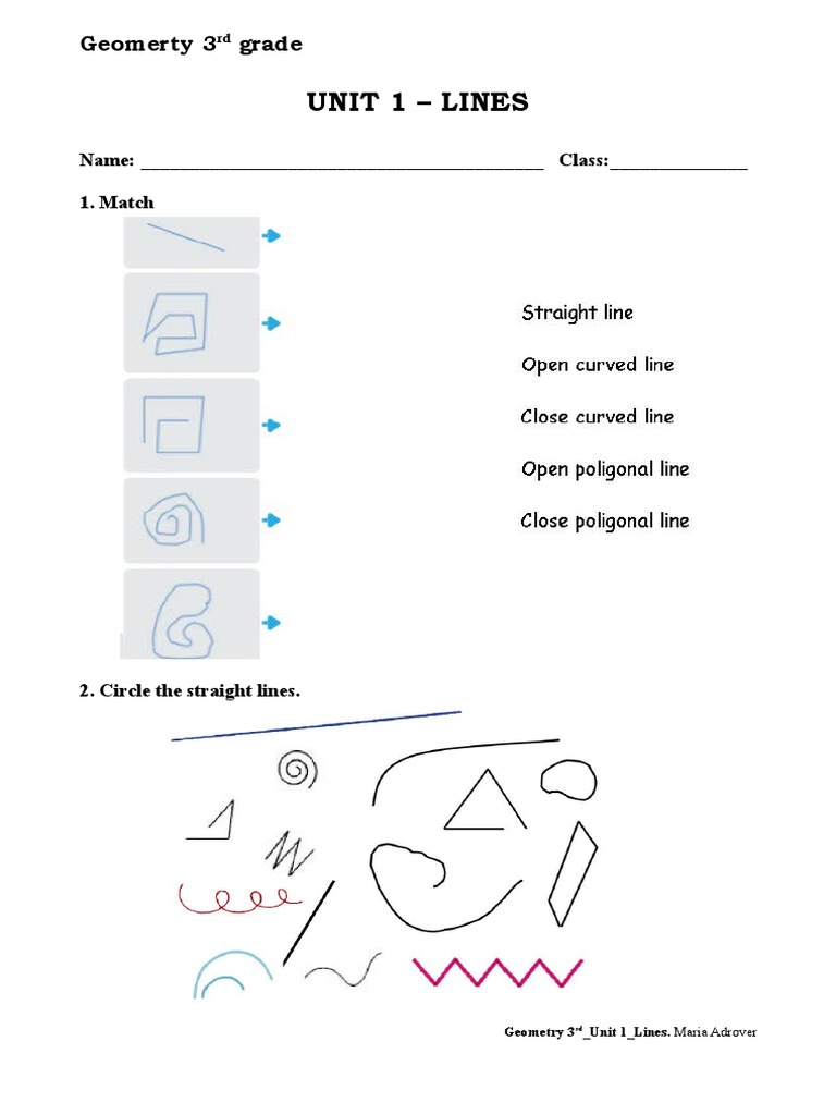 Grade 3 Geometry: Types of Lines Worksheet | PDF