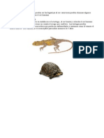 Trabajo de Ciencias Reptiles PDF