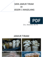 Download Presentasi Jamur Tiram by Raditya Marta SN238748327 doc pdf