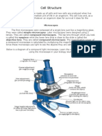 Cell Structure