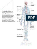 Nervous System