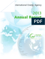IEA 2013 Annual Report