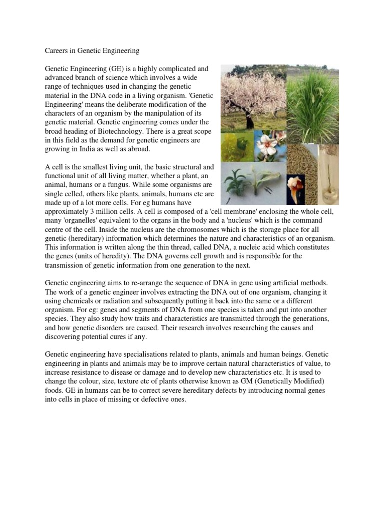 Careers in Genetic Engineering | Genetic Engineering | Genetics