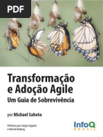 Adocao Transformacao Agile Minibook