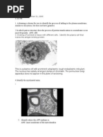 nbme 18 questions pdf download