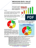 Agronegocios Valle Del Cauca PDF