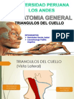 EXPOSICION TRIANGULOS DEL CUELLO 15 07 14.ppt