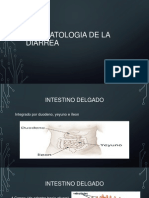 Fisiopatologia de La Diarrea