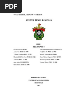 Download Makalah Kultur Tunas Tanaman by armalasahid SN238799954 doc pdf