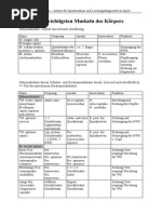 Skript Muskeltabelle PDF