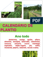 Calendrio de Plantio 090711221659 Phpapp02