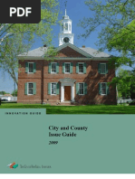City and County Issue Guide 2009