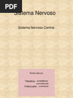 Sistema Nervoso