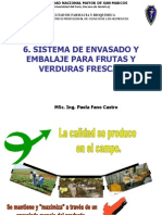 Clase 6 Sistema de Envasado y Embalaje para Productos Frutas y Hortalizas Frescas