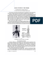 Muscle Function in The Fingers