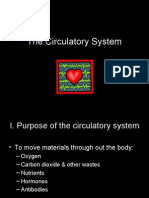 Circulatory System