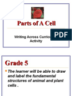 Parts of A Cell