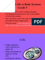 Cells of the Body System