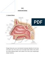 komplek osteo meatal, sinusitis, polip