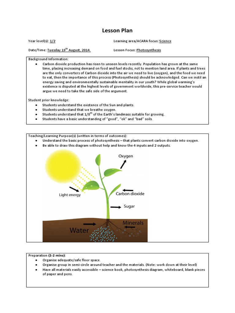primary - group lesson plan | Photosynthesis | Lesson Plan
