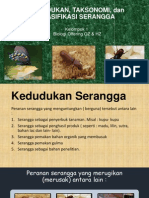 Klasifikasi Serangga