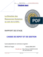 Rapport de Stage a Imprimer CDG
