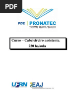 APOSTILA DEFFINITIVA