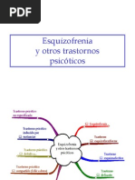 Esquizofrenia criterios diagnósticos