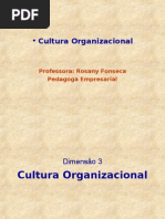 Aula de Cultura Organizacional