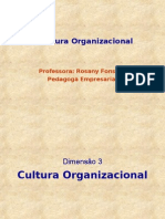 Aula de Cultura Organizacional