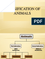 3.1 Classification of Animals