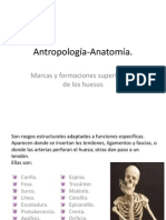 Antropología Anatomía